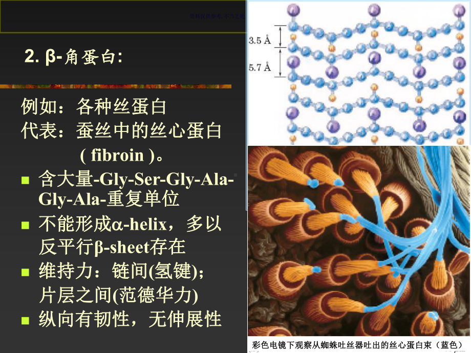 纤维蛋白和膜蛋白构象课件.ppt_第2页