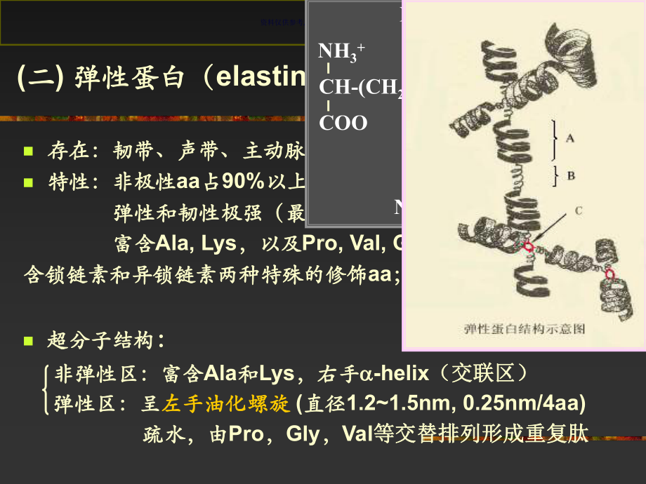 纤维蛋白和膜蛋白构象课件.ppt_第3页