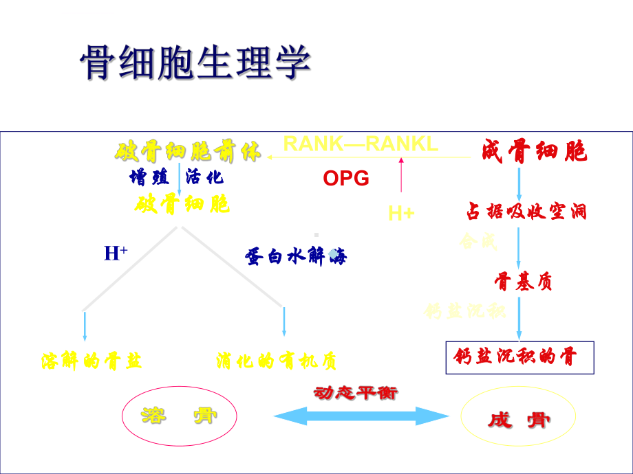 肺癌骨转移治疗课件.ppt_第3页