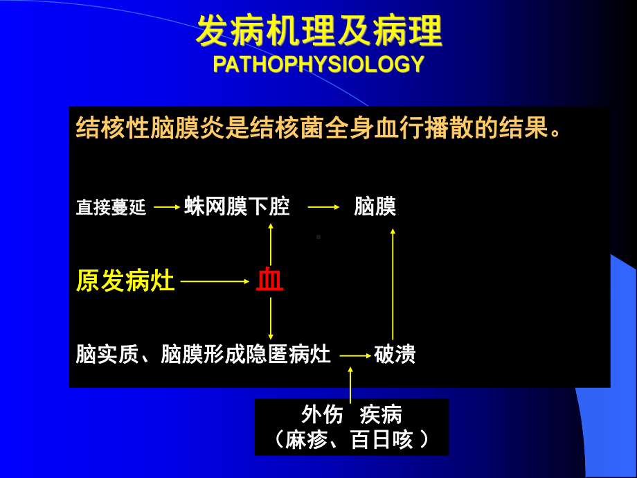 结核性脑膜炎3-课件.ppt_第3页