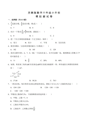 苏教版六年级数学小升初考试题及答案(DOC 16页).doc