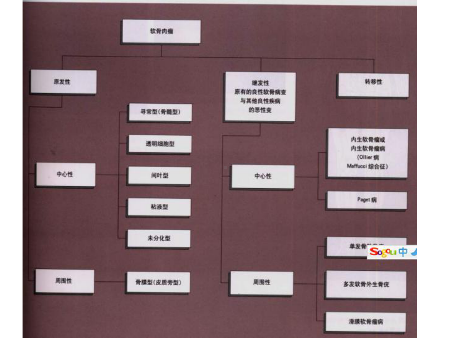 软骨肉瘤医学课件-.ppt_第3页