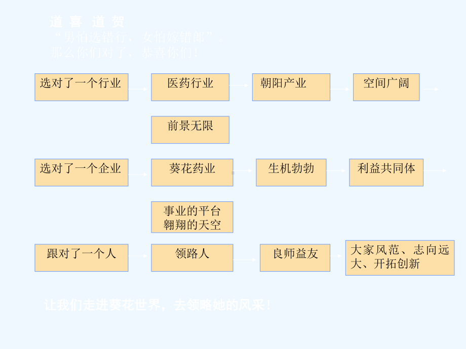 某药业公司组织架构图课件.ppt_第3页