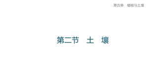 5.2 土壤 ppt课件--2023新人教版（2019）《高中地理》必修第一册.pptx