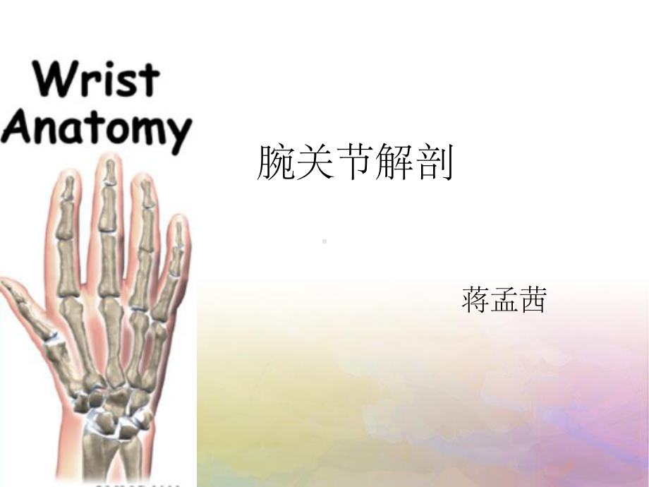 腕关节-解剖课件.ppt_第1页