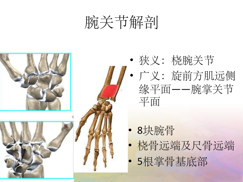 腕关节-解剖课件.ppt_第2页