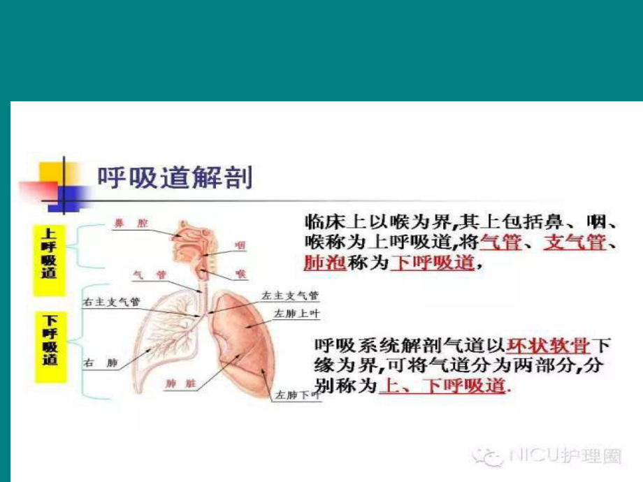 气管切开专科护理课件.ppt_第2页