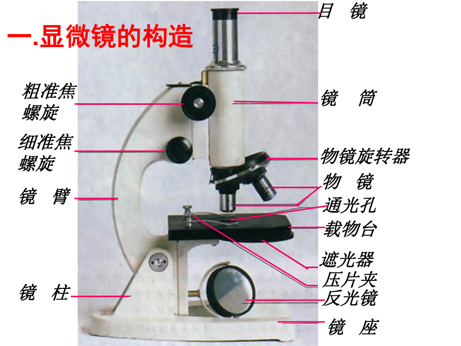 2.4细胞(二)显微镜的使用.ppt_第2页