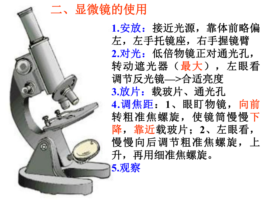 2.4细胞(二)显微镜的使用.ppt_第3页