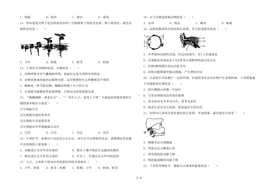 苏教版七年级生物下册期末考试(汇总)(DOC 6页).doc_第2页