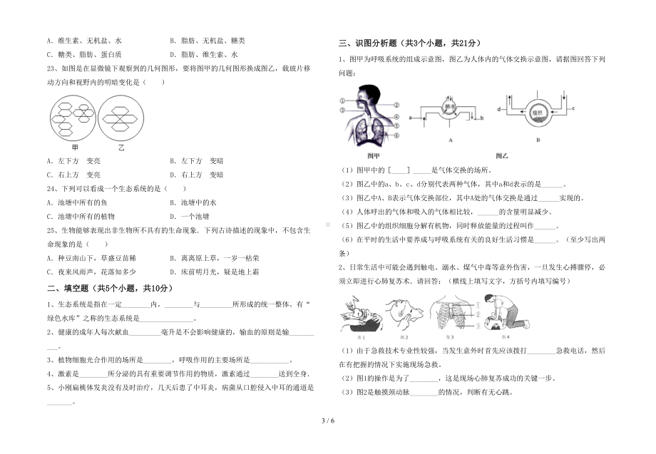 苏教版七年级生物下册期末考试(汇总)(DOC 6页).doc_第3页