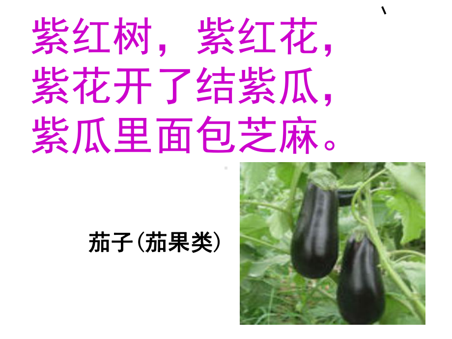 走进蔬菜王国(课堂)课件.ppt_第3页