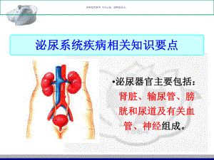 泌尿系统疾病医疗常见症状及护理课件.ppt