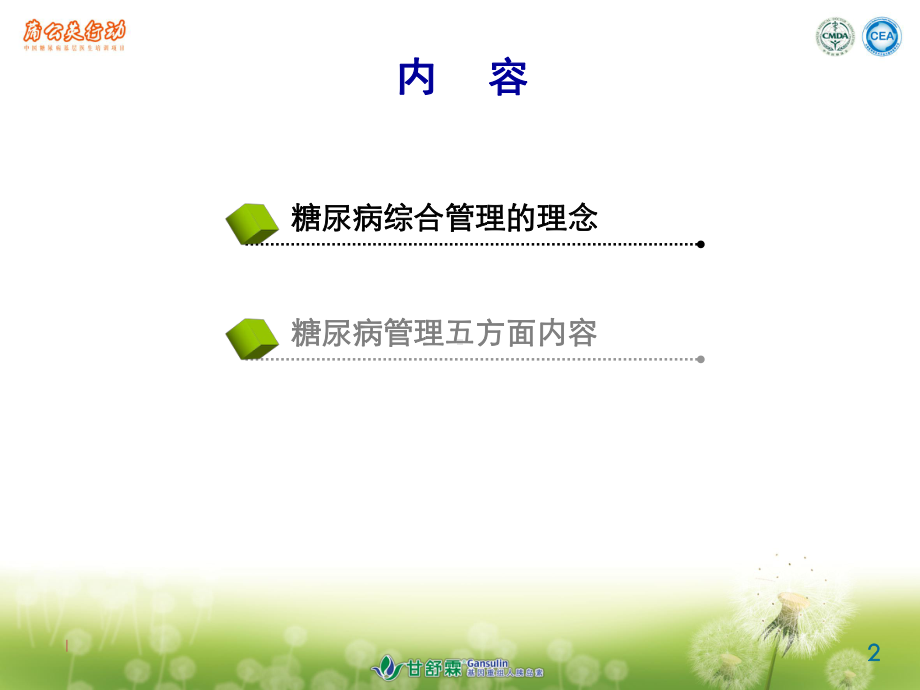 糖尿病综合管理课件.ppt_第2页