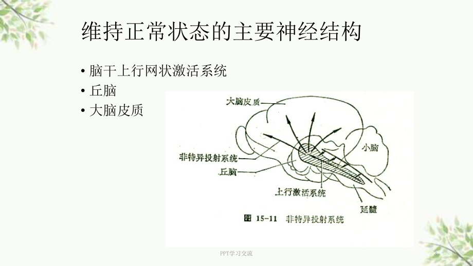 昏迷病人的护理疾病查房课件.ppt_第3页