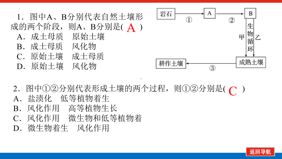 5.2.2土壤的主要形成因素 ppt课件 -2023新人教版（2019）《高中地理》必修第一册.pptx_第3页