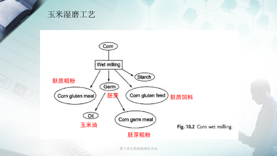 第八章生物基精细化学品课件.ppt_第3页