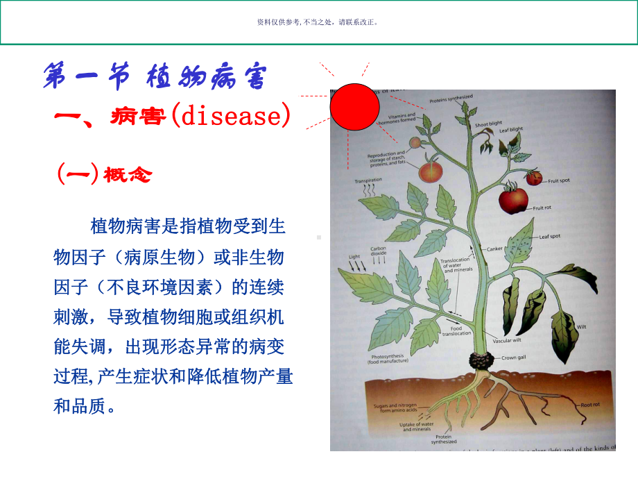 植物病害和植物病害系统课件.ppt_第1页