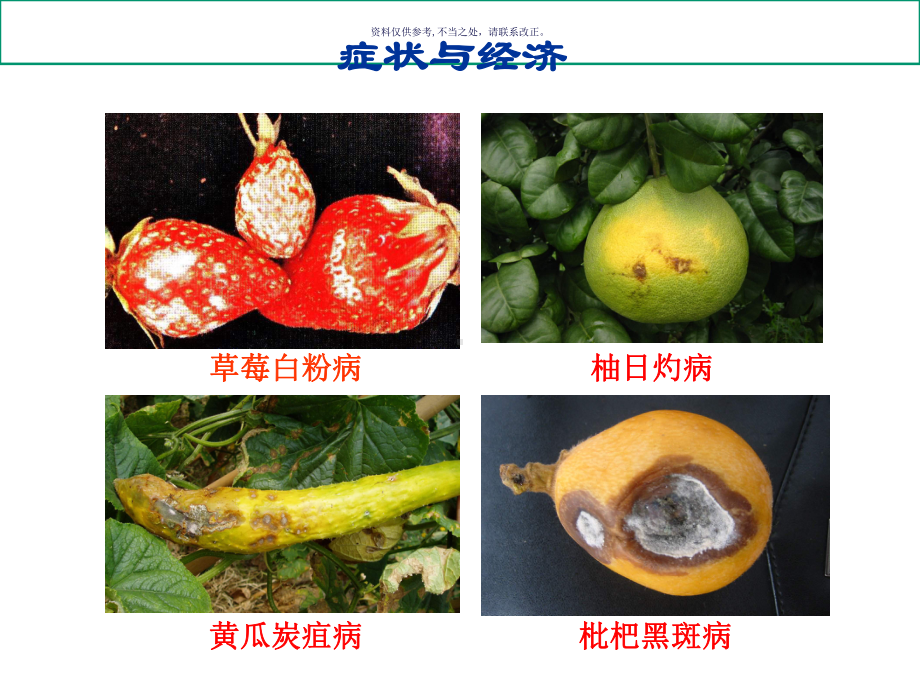 植物病害和植物病害系统课件.ppt_第3页