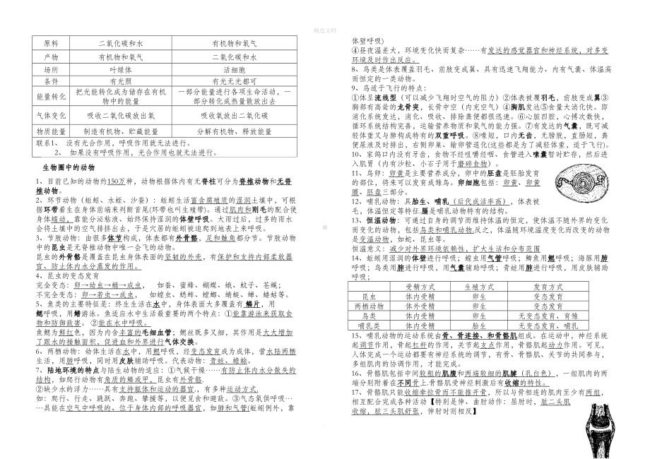 生物中考复习必背知识点全部(DOC 9页).doc_第3页