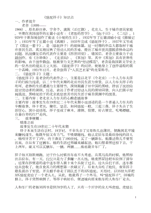 骆驼祥子练习课件资料(DOC 11页).doc