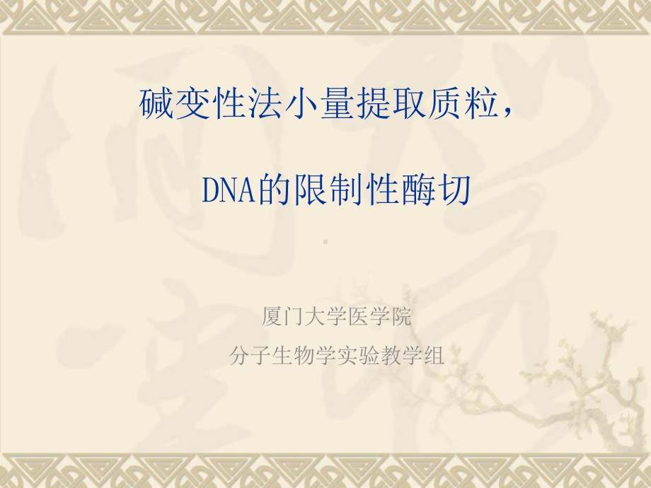 质粒dna的提取和鉴定课件.ppt_第1页