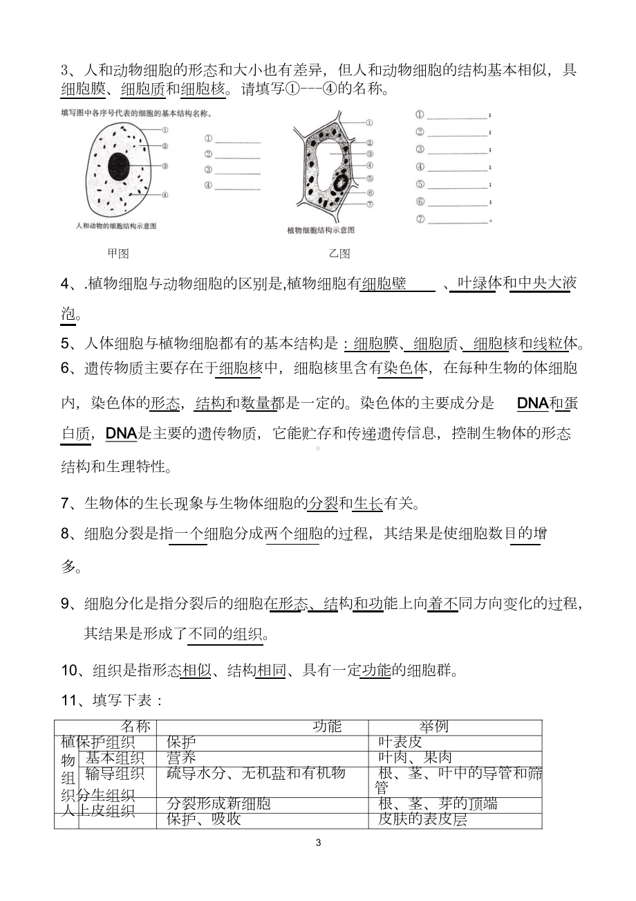 苏教版七年级生物上学期知识点汇总(DOC 10页).doc_第3页