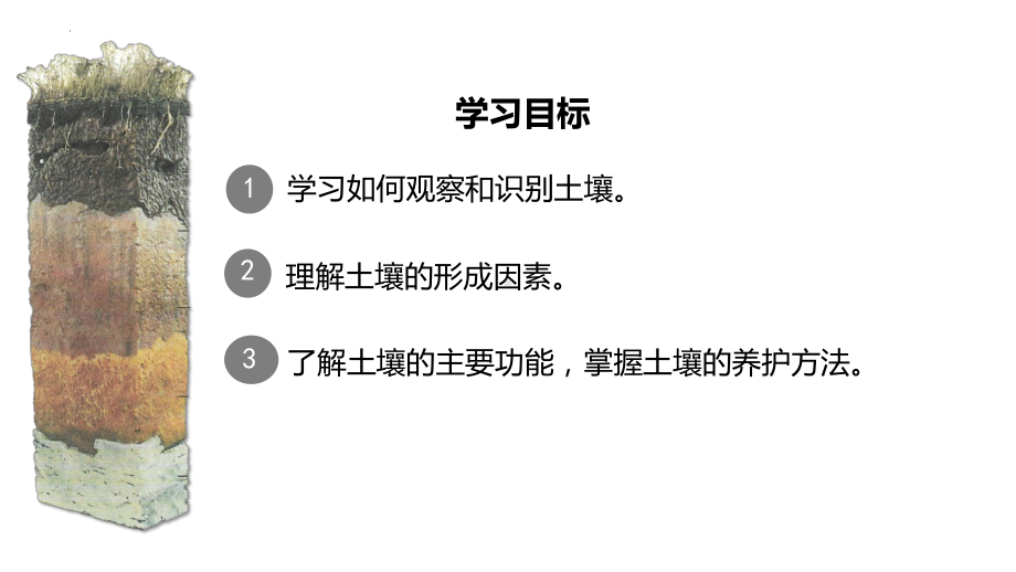 5.2土壤ppt课件 (j12x2)-2023新人教版（2019）《高中地理》必修第一册.pptx_第2页