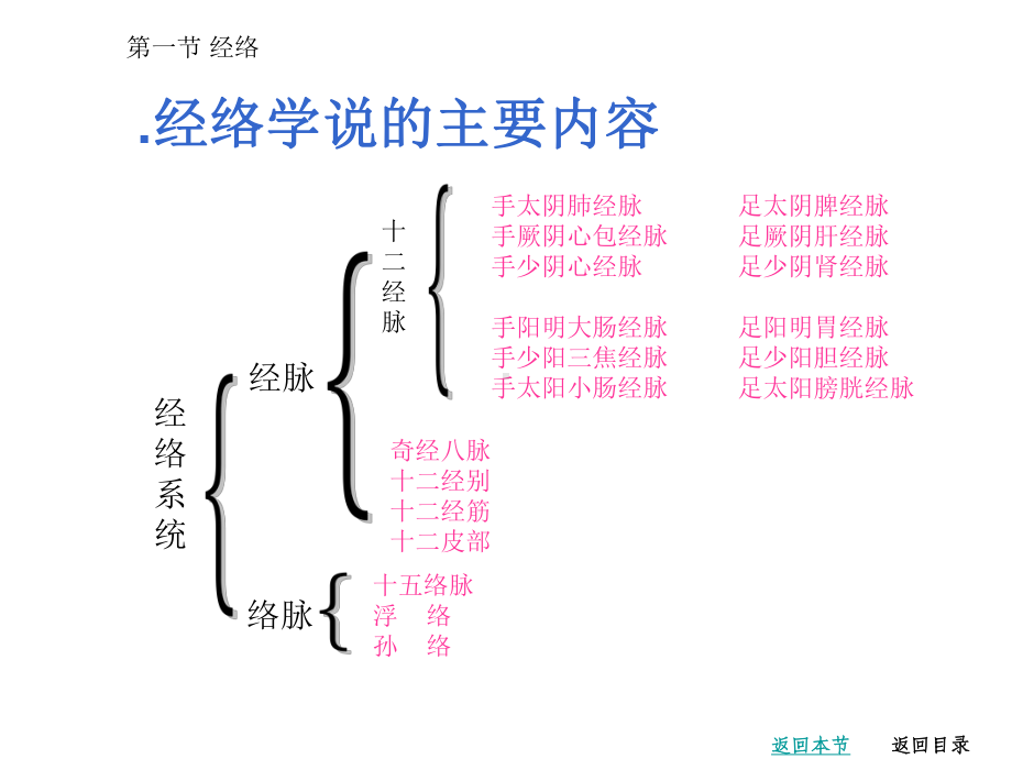 经络作用及分布课件.ppt_第3页