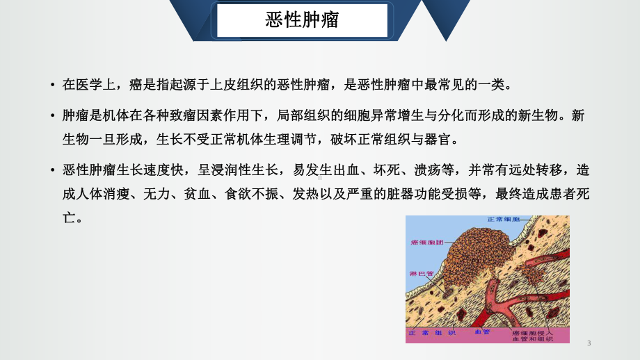 癌症晚期患者的护理教学课件.ppt_第3页