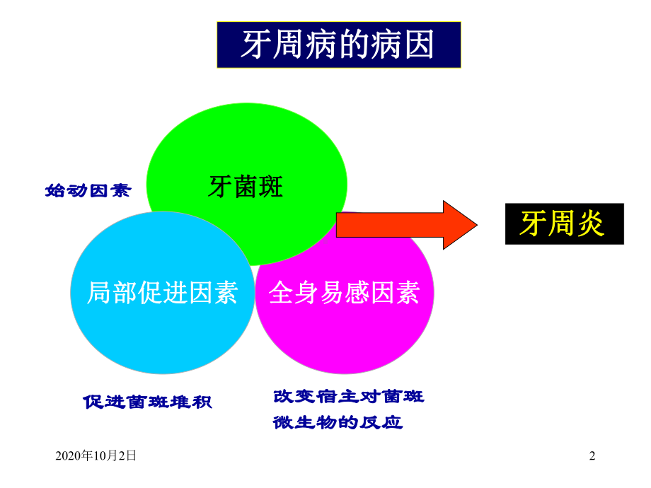 牙周病的病因学课件.ppt_第2页