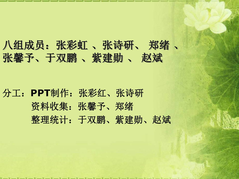 第八组盲人辅助器具产品课件.ppt_第2页