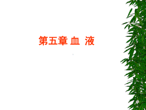 血细胞发生课件.ppt