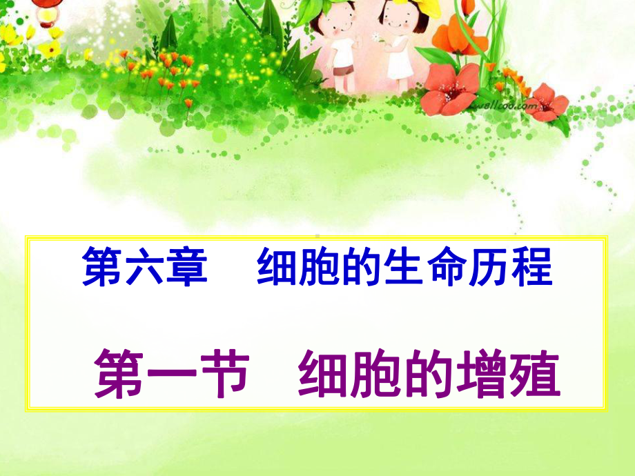 植物的有丝分裂(公开课一等奖)(课堂)课件.ppt_第1页