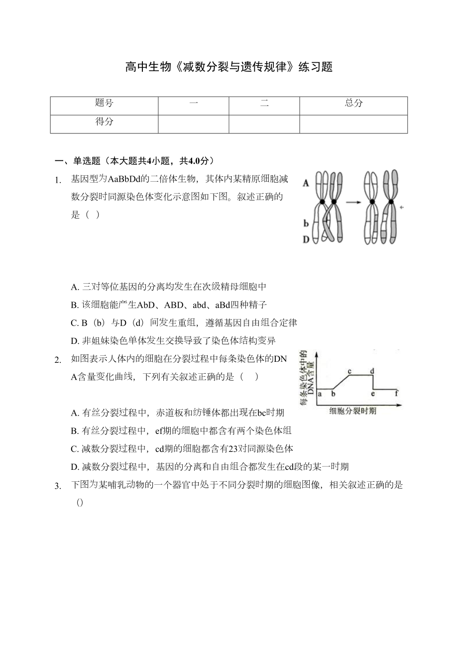 高中生物《减数分裂与遗传规律》练习题(含答案解析)(DOC 11页).docx_第1页