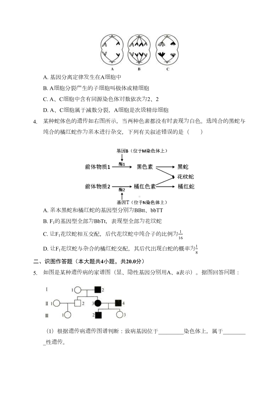 高中生物《减数分裂与遗传规律》练习题(含答案解析)(DOC 11页).docx_第2页