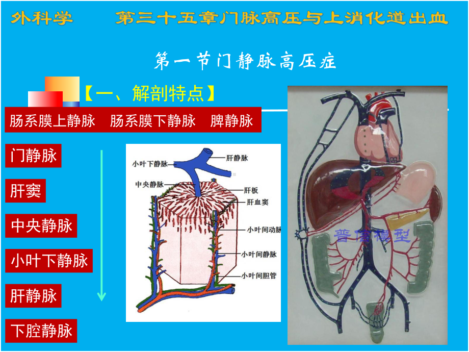 第三十五章-门脉高压症与上消化道出血课件.ppt_第3页