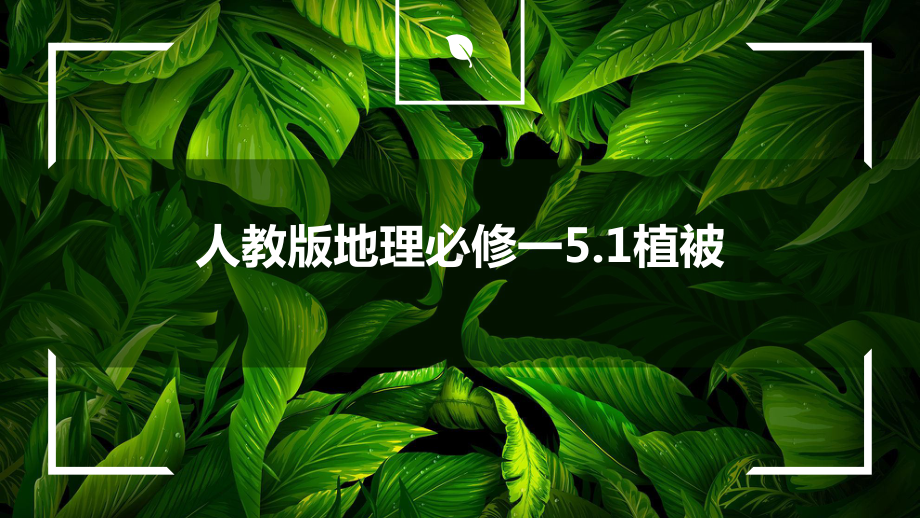 5.1 植被 说课ppt课件-2023新人教版（2019）《高中地理》必修第一册.pptx_第1页