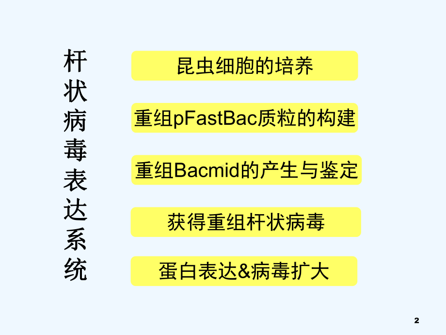 杆状病毒表达系统(昆虫细胞的培养及杆状病毒滴度测课件.ppt_第2页