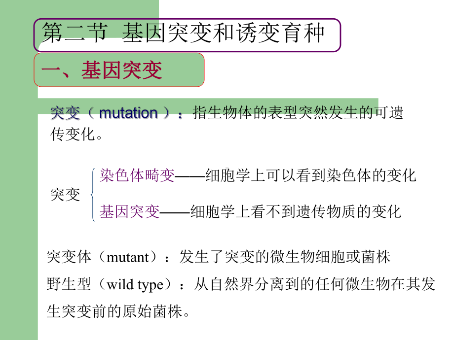 突变(mutation)指生物体的表型突然发生的课件.ppt_第1页