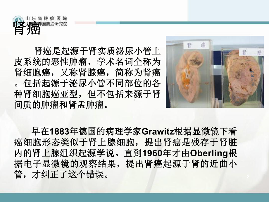 肾癌病人的护理-课件.ppt_第2页