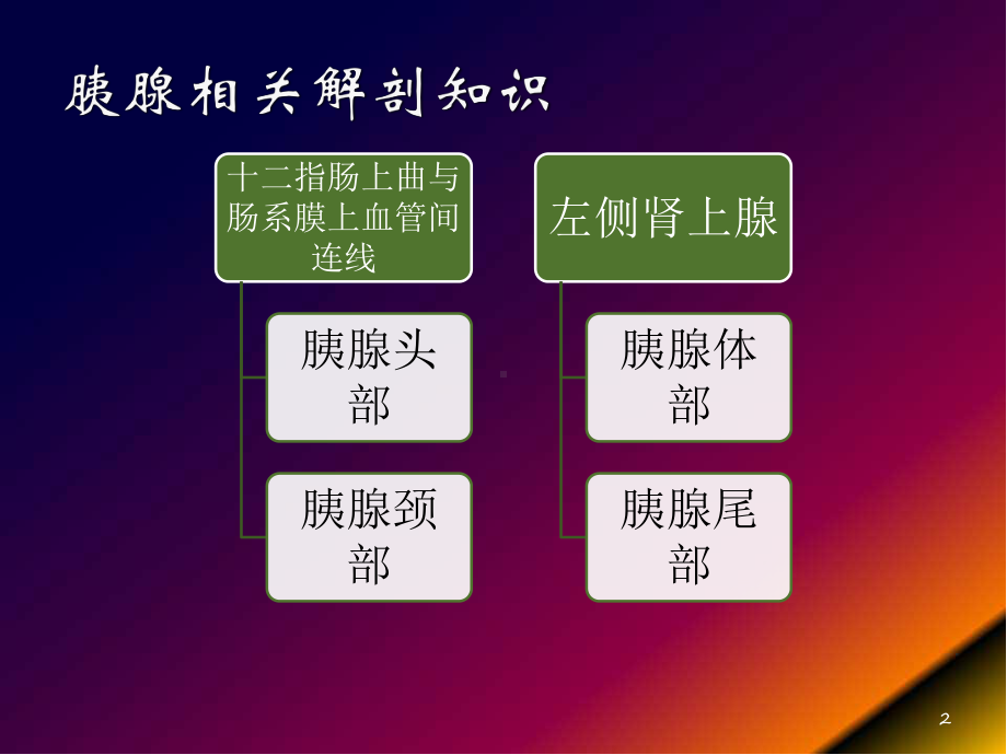 胰腺假性囊肿教学课件.pptx_第2页