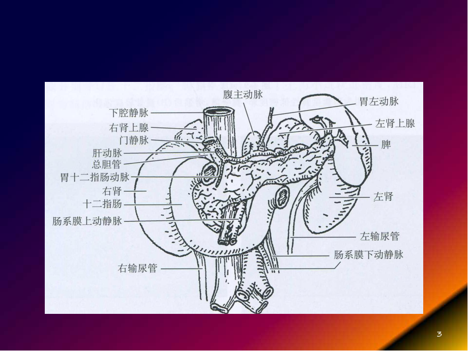 胰腺假性囊肿教学课件.pptx_第3页