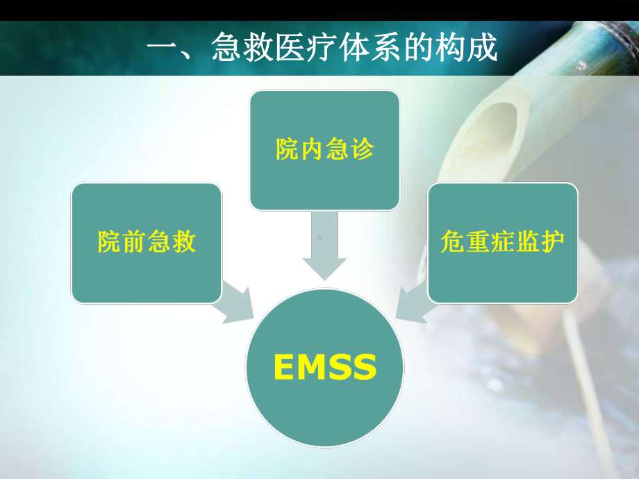 精选急救医疗服务体系的现状与发展资料课件.ppt_第2页