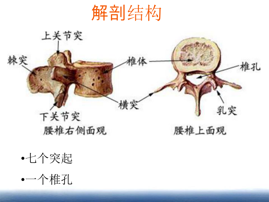 胸腰椎骨折护理查房1-课件.ppt_第3页