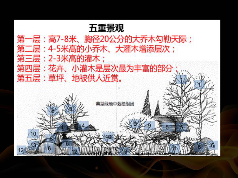 苗木采购知识培训讲义-课件.ppt_第3页