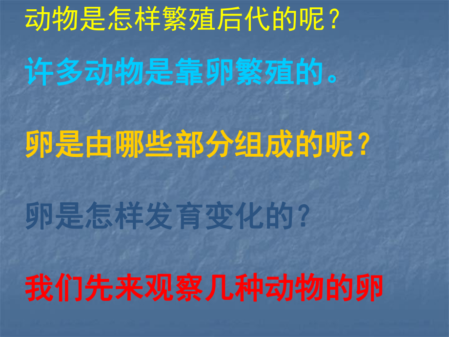 2—6动物的卵.ppt_第2页