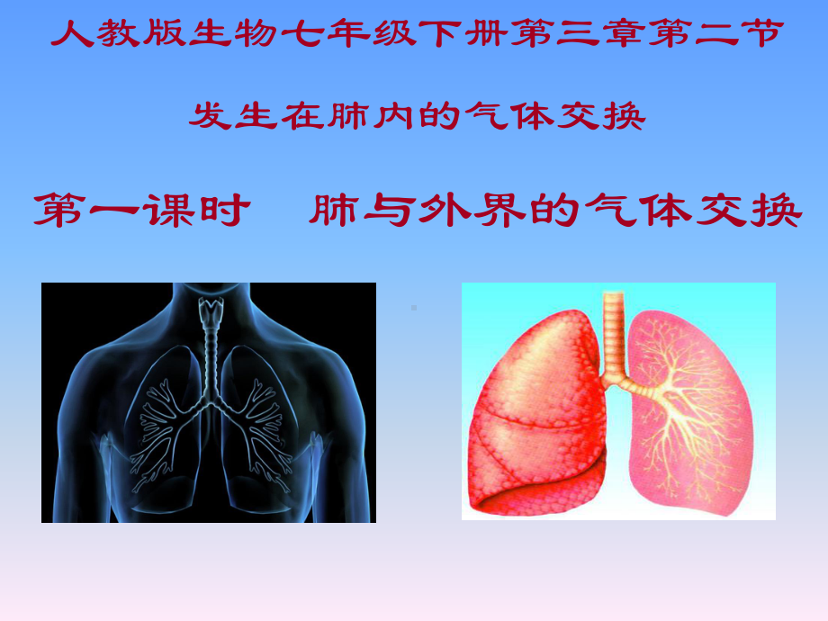 肺与外界的气体交换-说课课件.ppt_第1页