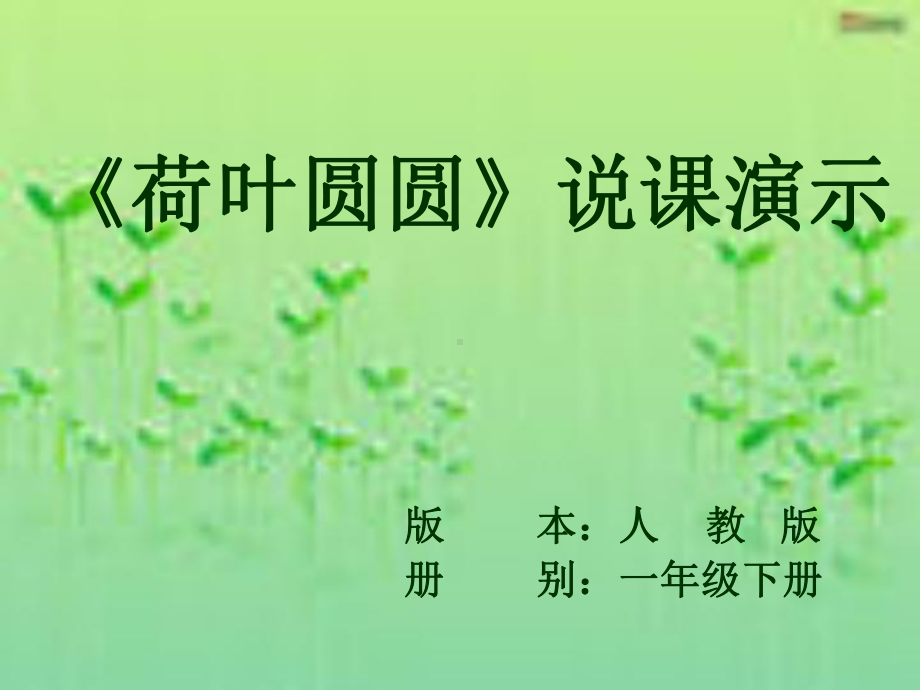 荷叶圆圆》说课课件.ppt_第1页