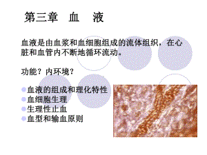 血细胞生理课件.ppt